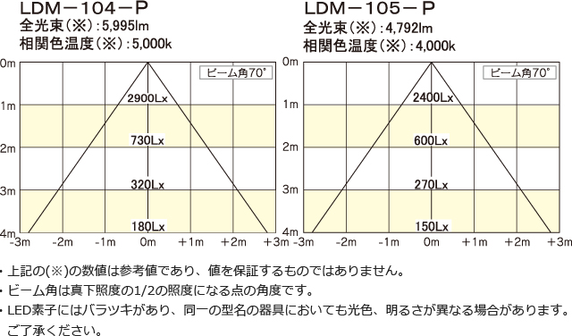 LDM100pl_img2