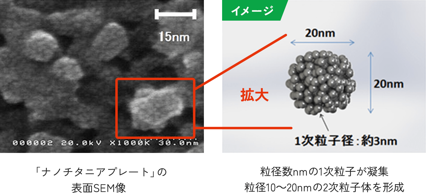特長画像